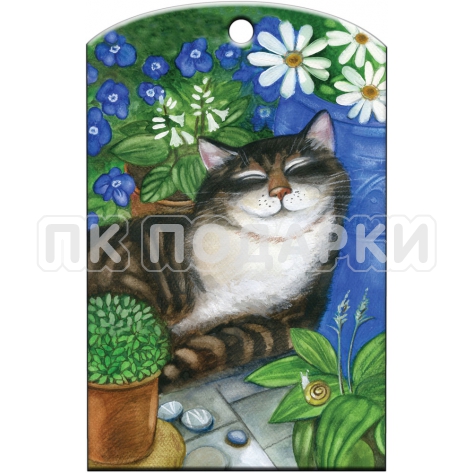 Кот спит