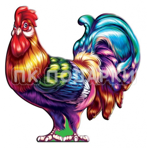 Rooster 4
