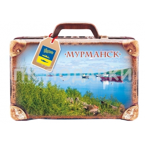 Мурманск Чемодан 3