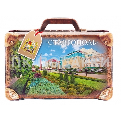 Чемодан "Ставрополь"