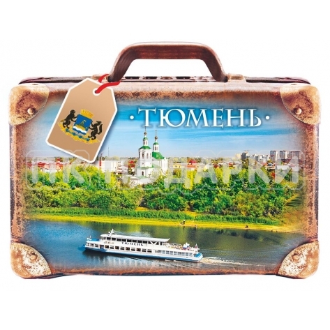 Тюмень Чемодан
